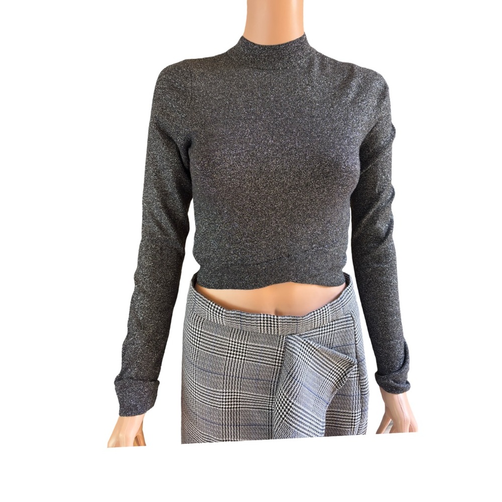 Express Sparkly Long Sleeve Crop Top